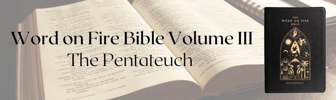 Word on Fire Bible Volume III